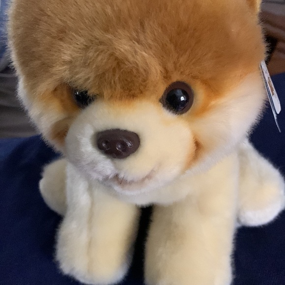 Adorable Boo dog stuffed animal. Made by Gunn sells other places $28 - Picture 4 of 4